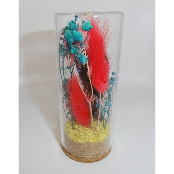 Cicada Wasp Nest & Carpenter Bee Oddity Jar curiosity dome insect taxidermy goth - Picture 14 of 15